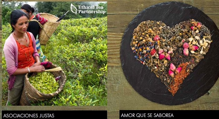 té ecológico a granel alveus