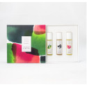Pack parfums bio Vera veritati - Roll-on Fraîcheur, Sens et Motivation - Amapola Biocosmetics