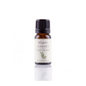 Aceite de albahaca (Ocimum basilicum) - Aceite esencial ecológico -  Labiatae - 12 ml.