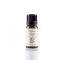 Aceite de canela (Cinnamomum zeylanicum)- Aceite esencial ecológico - Labiatae - 12 ml.