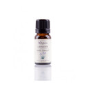 Aceite de lavandín (Lavandula hybrida) - Aceite esencial ecológico - Labiatae - 12 ml
