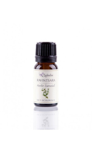 Aceite de Ravintsara (Citrus cinnamomum camphora) - Aceite esencial ecológica - Labiatae - 12 ml.