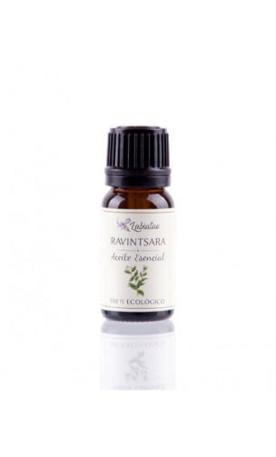 Huile de Ravintsara (Citrus cinnamomum camphora) - Huile essentielle bio - Labiatae - 12 ml.