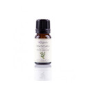 Aceite de Ravintsara (Citrus cinnamomum camphora) - Aceite esencial ecológica - Labiatae - 12 ml.