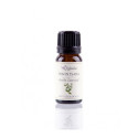 Huile de Ravintsara (Citrus cinnamomum camphora) - Huile essentielle bio - Labiatae - 12 ml.