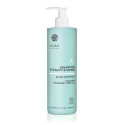 Champú ecológico Vitalidad y Brillo (Vitality & Shine Shampoo) - NAOBAY - 400 ml