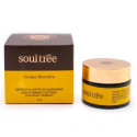 Crème visage bio ayurvédique - Nourrissante - Safran - Soultree - 50 g.