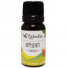 Mezcla aceites esenciales BIO - REPELENTE insectos - 100 ml - Labiatae