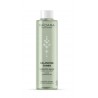Tónico equilibrante natural - Balancing Frambuesa Pepino - Normal Mixta - MÁDARA - 200 ml.