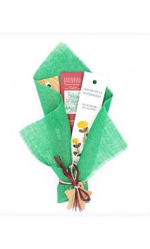 Bouquet VERT Encens naturels - Eucalyptus Myrrhe Cannelle  Encensoir - BioAroma Auroshikha - 1U.