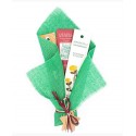 Bouquet VERT Encens naturels - Eucalyptus Myrrhe Cannelle  Encensoir - BioAroma Auroshikha - 1U.