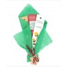 Bouquet VERT Encens naturels - Eucalyptus Myrrhe Cannelle  Encensoir - BioAroma Auroshikha - 1U.