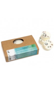 Disques aromatiques - Parfum AIR DE LA MONTAGNE - CANVELA - 6 U.