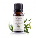 Aceite de eucalipto (Eucalyptus globulus) - Aceite esencial ecológico -Labiatae - 30 ml.