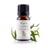 Aceite de eucalipto (Eucalyptus globulus) - Aceite esencial ecológico -Labiatae - 30 ml.