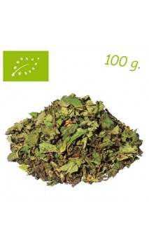 Thé vert Menthe Marrakesh Nights Premium - Elements - Thé bio en vrac - Alveus - 100 g.