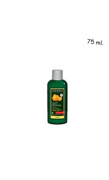 Shampooing volume BIO Miel & Bière - Cheveux fins/fragiles - Sans sulfates - LOGONA - 250 ml.