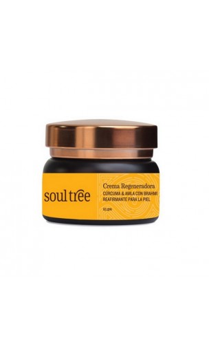 Crema facial ecológica Regeneradora & Antiedad - Cúrcuma & Amla con Brahmi - Soultree - 25 g.