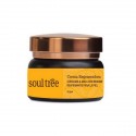 Crème visage bio Régénérante & Anti-âge - Curcuma & Amla au Brahmi - Soultree - 25 g.