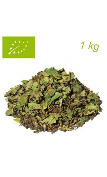 Té verde Menta Marrakesh Nights Premium PACK 1kg - Elements - Té ecológico a granel - Alveus