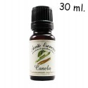 Aceite de canela (Cinnamomum zeylanicum)- Aceite esencial ecológico - Labiatae - 30 ml.