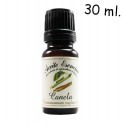 Huile de cannelle (Cinnamomum zeylanicum)- Huile essentielle bio - Labiatae - 30 ml.