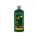Shampooing brillance argan bio - Cheveux Cassants/Abîmés - Sans Sulfates - LOGONA - 250 ml.
