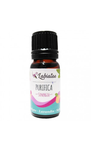 Mélange d'huiles essentielles  BIO Purifiant antifumée - 12 ml - Labiatae