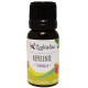 Mélange d'huiles essentielles BIO Anti-insectes - 12 ml - Labiatae