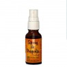 Spray bucal de propóleos ecológico - PROPOL-MEL- 20 ml.