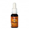 Teinture de propolis bio - PROPOL-MEL- 20 ml.